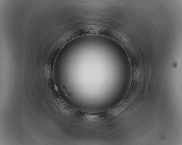 X0000095910283200801111239