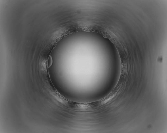 X0000095910286200801111239