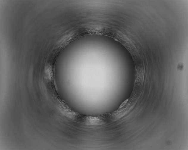 X0000095910287200801111239