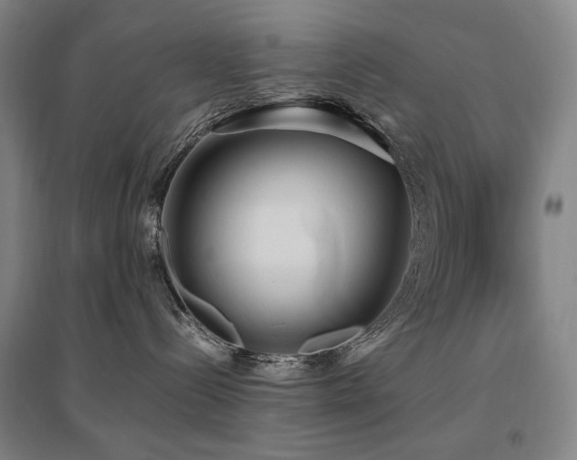 X0000095910288200801111239