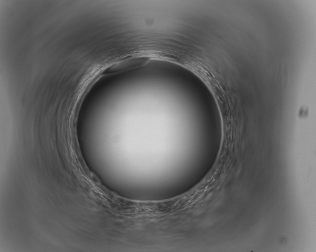 X0000095910289200801111238