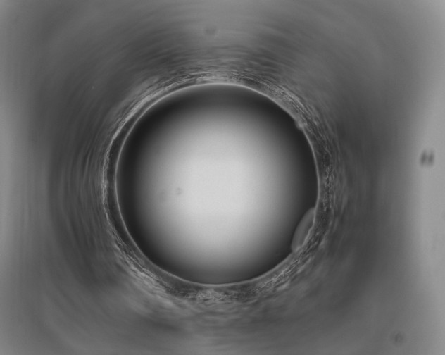 X0000095910290200801111238