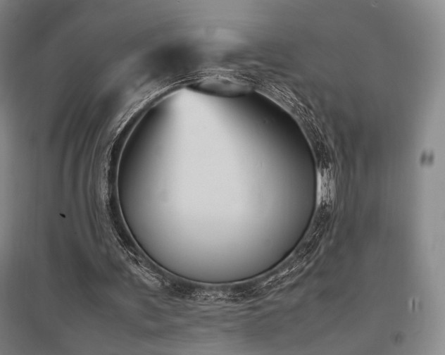 X0000095910291200801111238