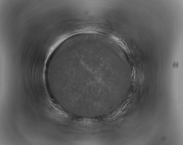 X0000095910292200801111238