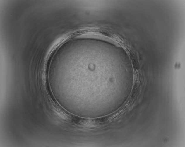 X0000095910293200801111238