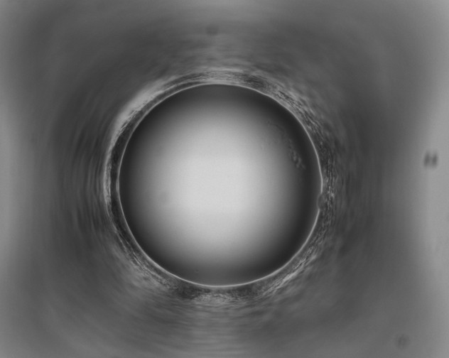 X0000095910294200801111238