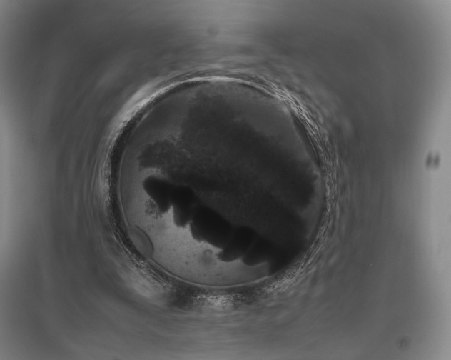 X0000095910295200801111238