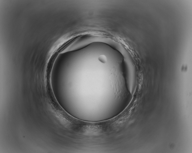 X0000095910296200801111238