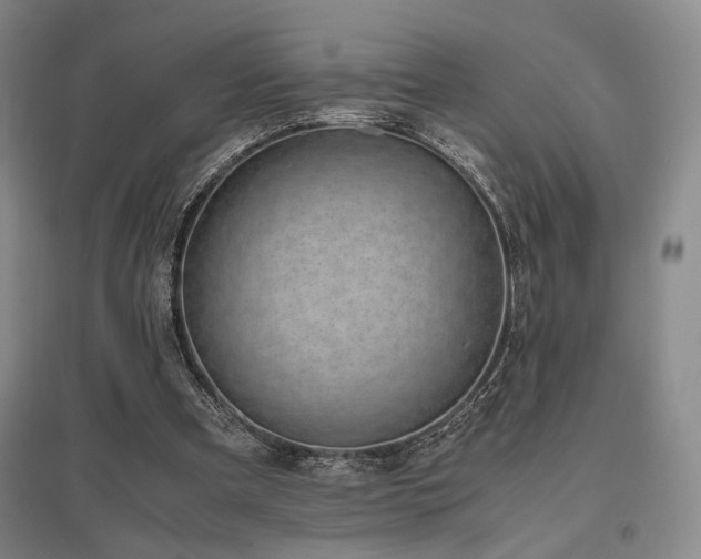 X0000095910297200801111238