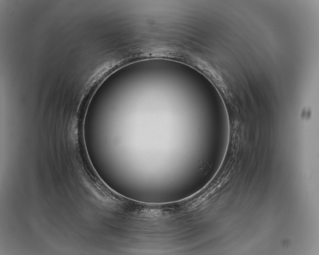 X0000095910298200801111238