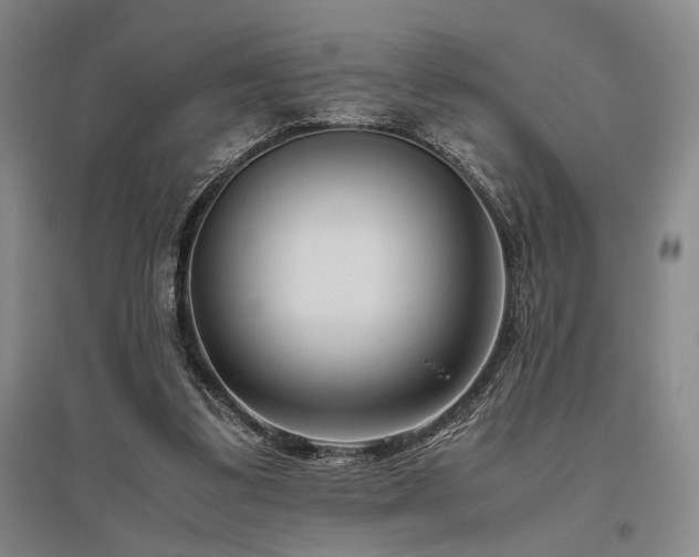 X0000095910299200801111238