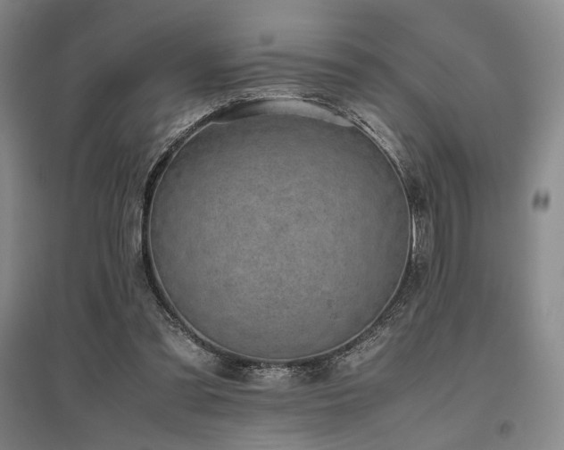 X0000095910301200801111238