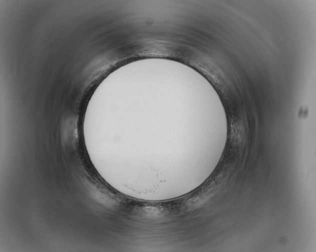 X0000095910302200801111238