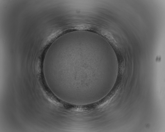 X0000095910303200801111238