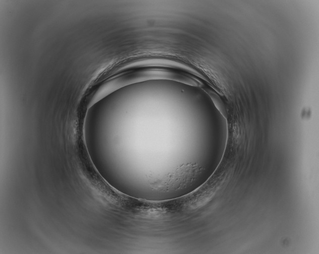 X0000095910304200801111238