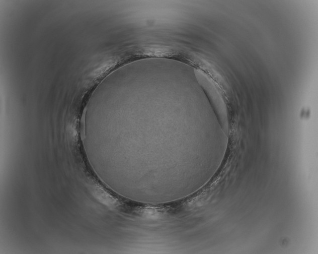 X0000095910305200801111238