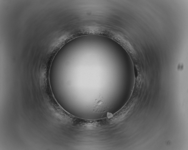 X0000095910306200801111238