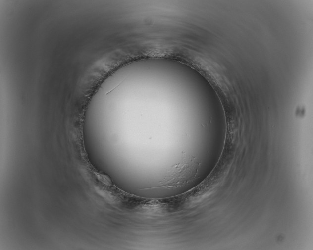 X0000095910307200801111238