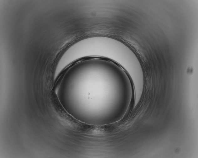 X0000095910308200801111238