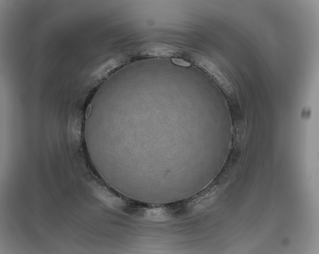 X0000095910309200801111238