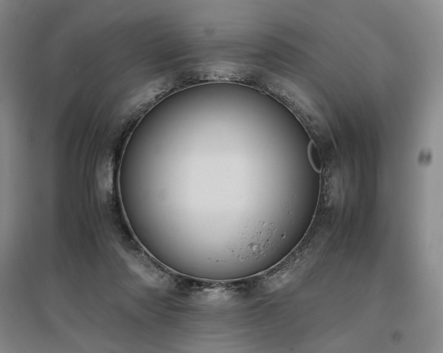 X0000095910310200801111238