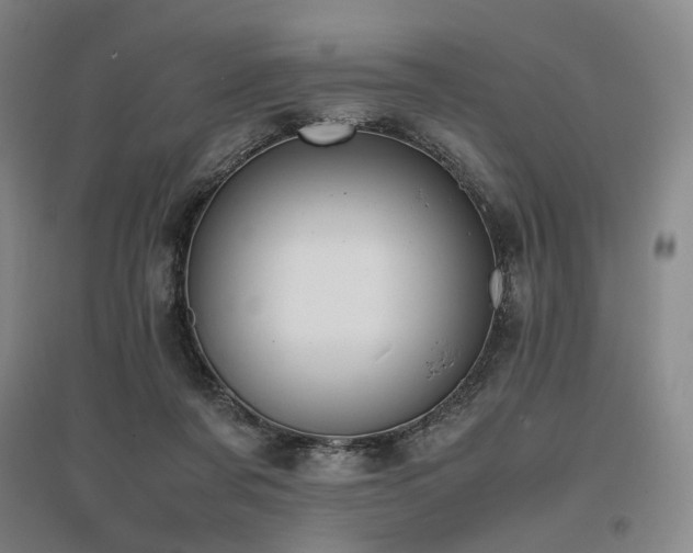 X0000095910311200801111238