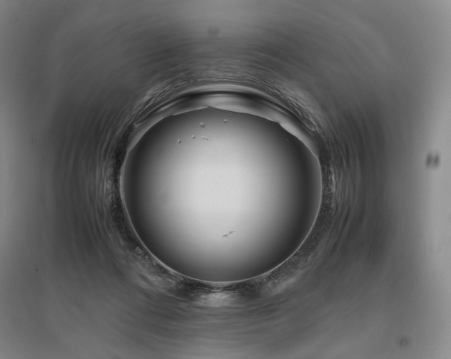 X0000095910312200801111238