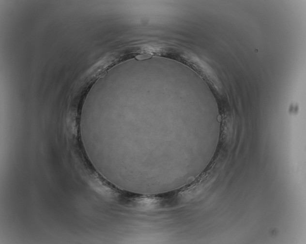 X0000095910313200801111238