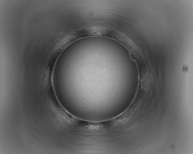 X0000095910314200801111238