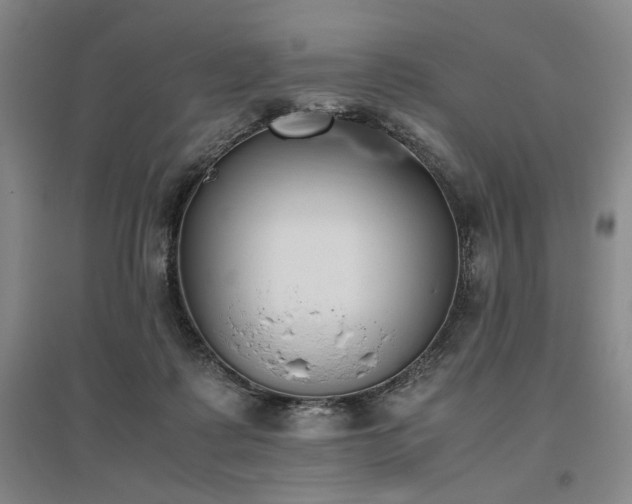 X0000095910315200801111238