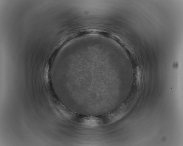 X0000095910316200801111238