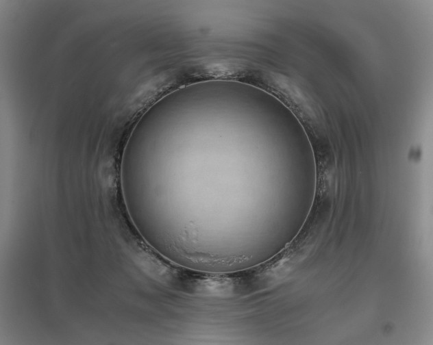 X0000095910317200801111238