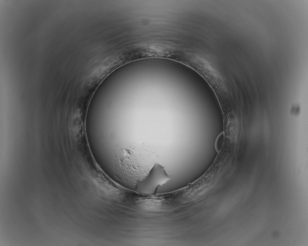 X0000095910318200801111238