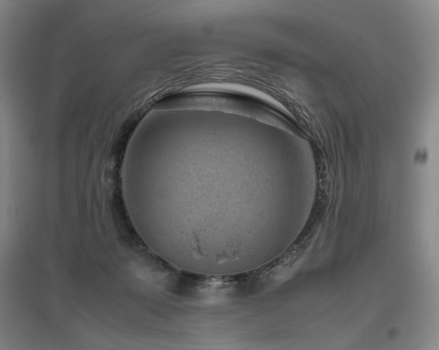 X0000095910319200801111238