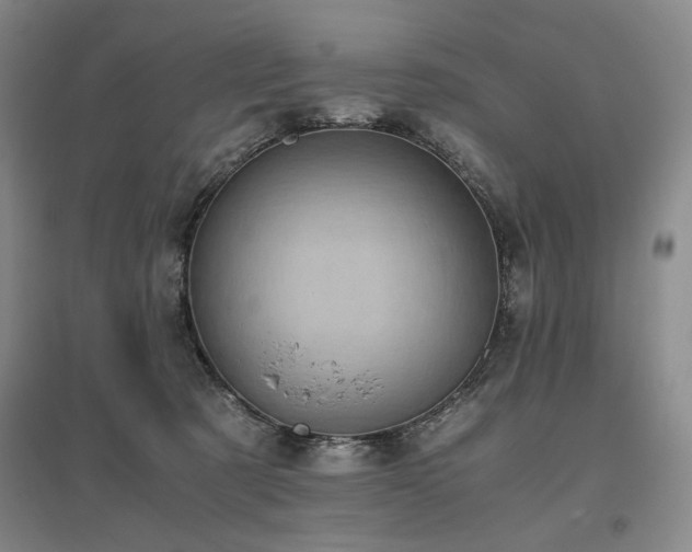 X0000095910321200801111238