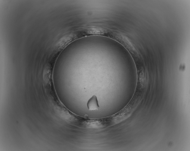 X0000095910322200801111238