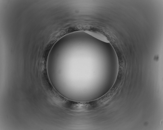 X0000095910323200801111238