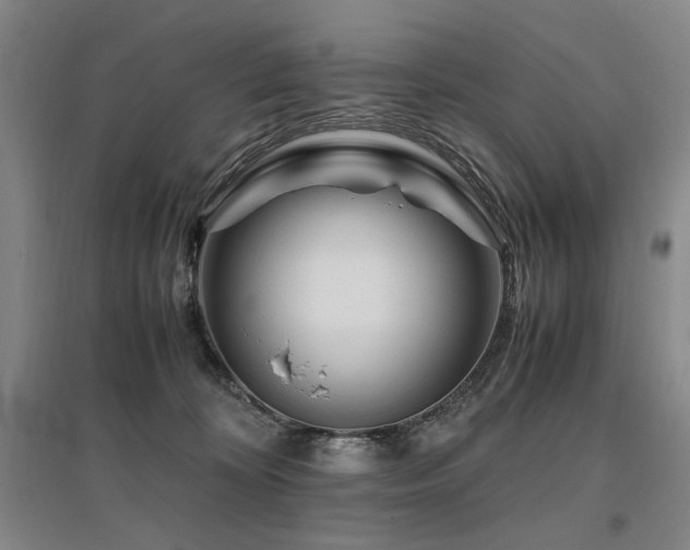 X0000095910324200801111238