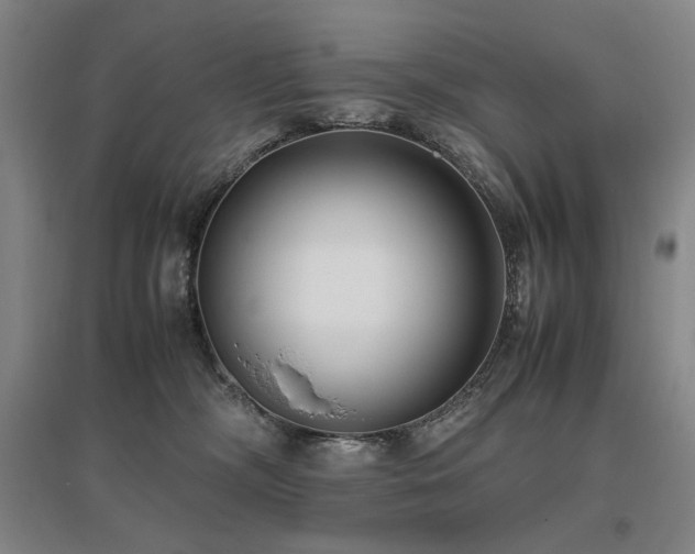 X0000095910326200801111238