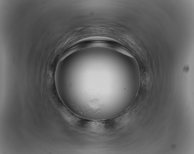 X0000095910327200801111238