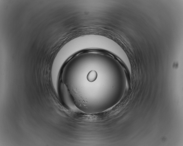 X0000095910328200801111238