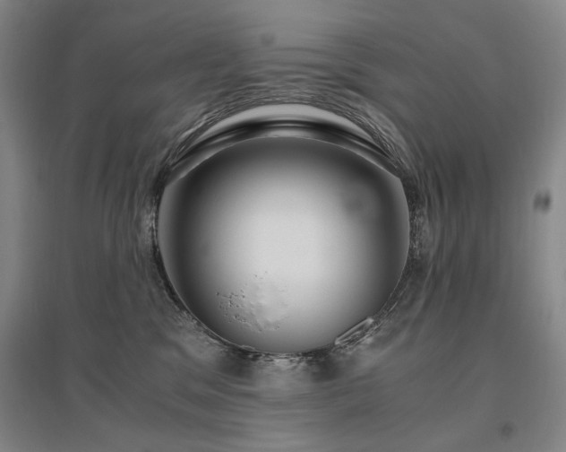 X0000095910329200801111238