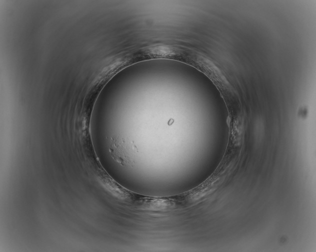 X0000095910330200801111238