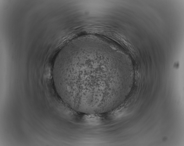 X0000095910331200801111238