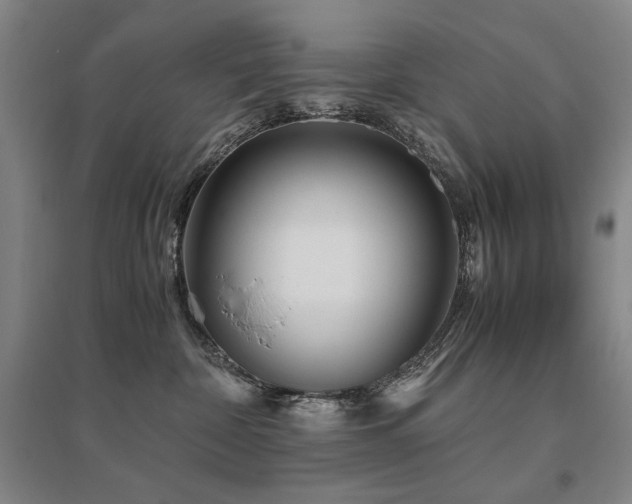 X0000095910332200801111238