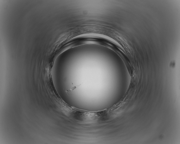 X0000095910333200801111238