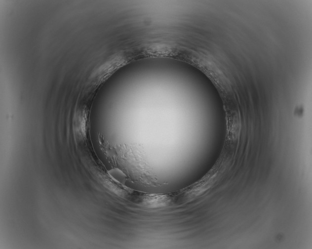 X0000095910334200801111237