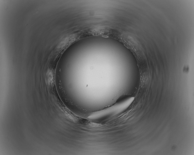 X0000095910335200801111237