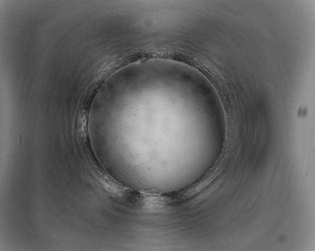 X0000095910336200801111237