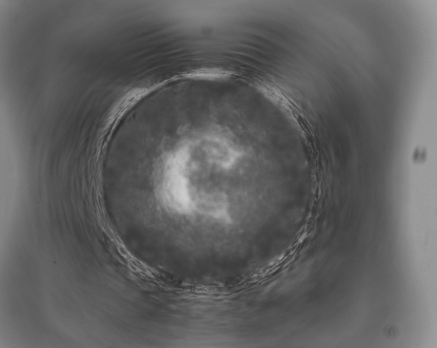 X0000095910337200801111237